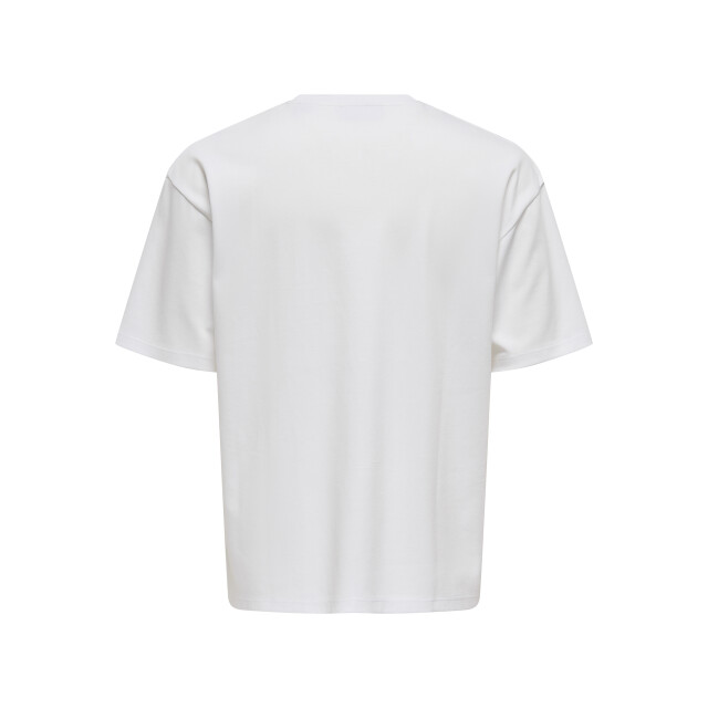 Only & Sons Onscaspian aut ss tee noos 22031940 large