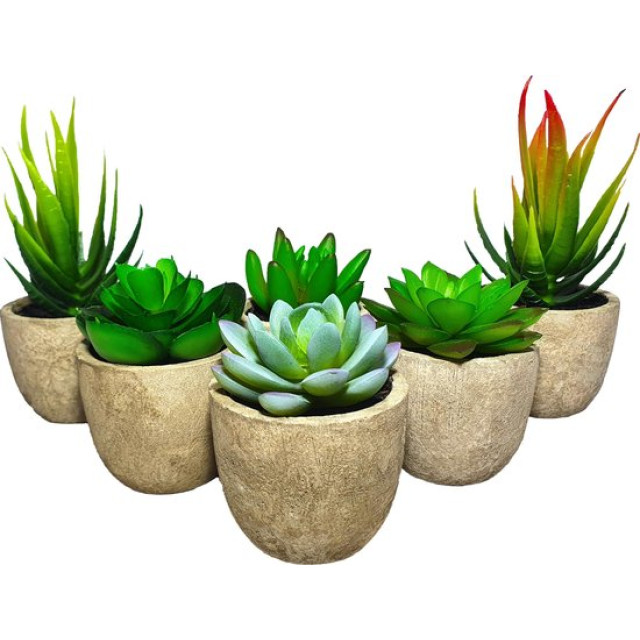 GreenDream ® kunstplanten vetplanten in pot 6 stuks cadeautip 3047890 large