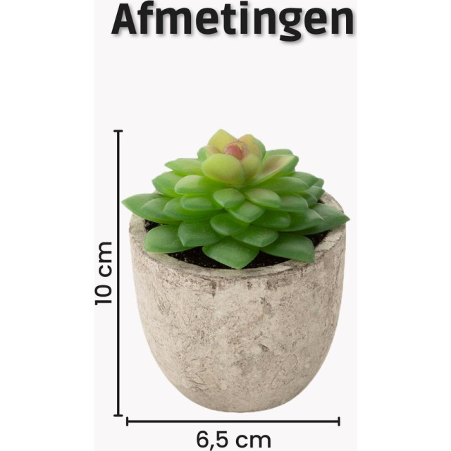 GreenDream ® kunstplanten vetplanten in pot 6 stuks cadeautip 3047890 large