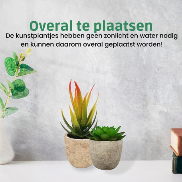 GreenDream ® kunstplanten vetplanten in pot 6 stuks cadeautip 3047890 large