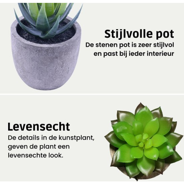 GreenDream ® kunstplanten vetplanten in pot 6 stuks cadeautip 3047890 large