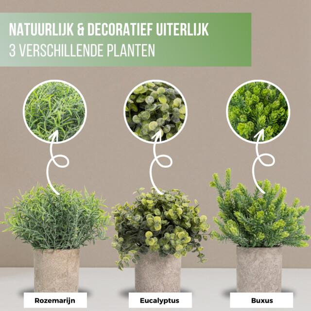 GreenDream ® kunstplanten set met 3 kleine kunstplanten 20 cm cadeautip 3047768 large