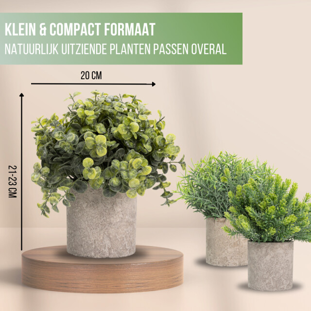 GreenDream ® kunstplanten set met 3 kleine kunstplanten 20 cm cadeautip 3047768 large