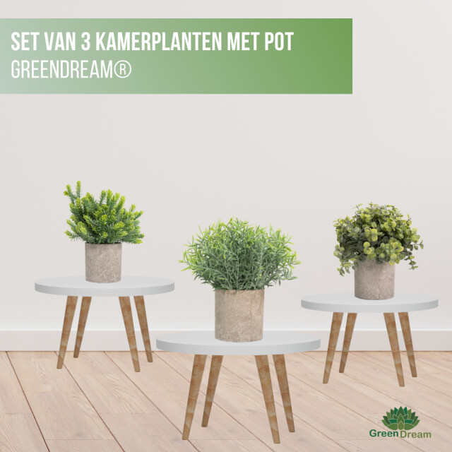 GreenDream ® kunstplanten set met 3 kleine kunstplanten 20 cm cadeautip 3047768 large