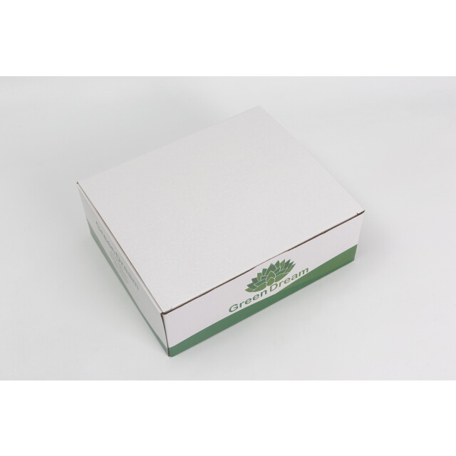 GreenDream ® kunstplanten kleine kunstplanten kamerplanten 3 stuks - 3047765 large