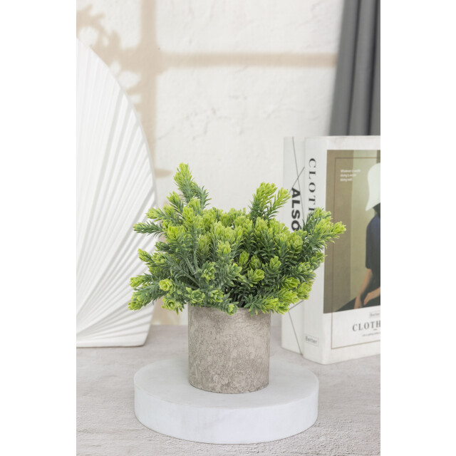 GreenDream ® kunstplanten set met 3 kleine kunstplanten 20 cm cadeautip 3047768 large