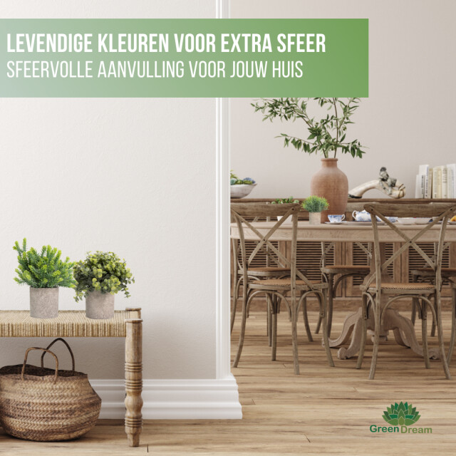 GreenDream ® kunstplanten set met 3 kleine kunstplanten 20 cm cadeautip 3047768 large