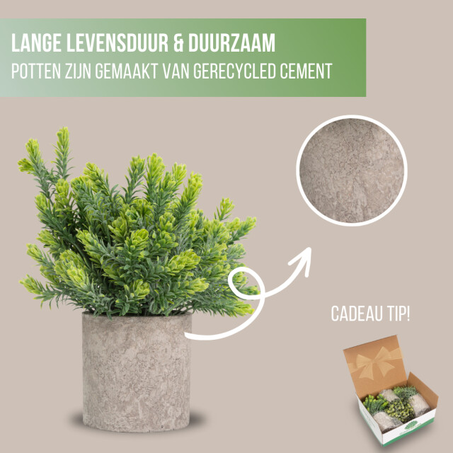 GreenDream ® kunstplanten set met 3 kleine kunstplanten 20 cm cadeautip 3047768 large