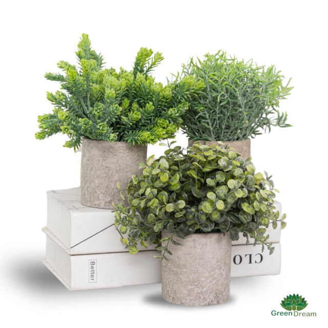 GreenDream ® kunstplanten set met 3 kleine kunstplanten 20 cm cadeautip 3047768 large