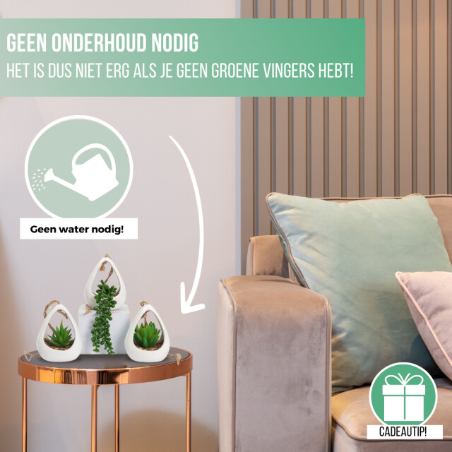 GreenDream ® kunstplanten 3 stuks hangplanten in hanger cadeautip 3047770 large