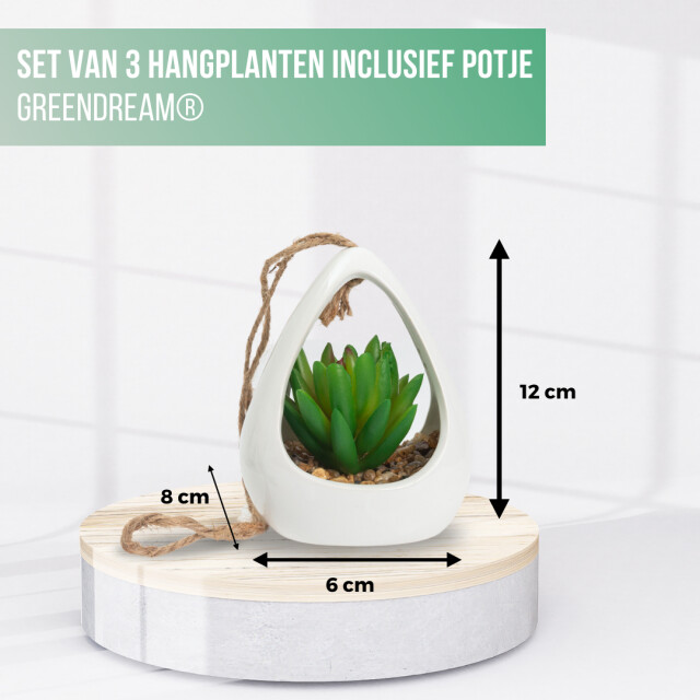 GreenDream ® kunstplanten 3 stuks hangplanten in hanger cadeautip 3047770 large