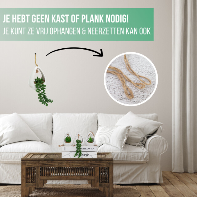 GreenDream ® kunstplanten 3 stuks hangplanten in hanger cadeautip 3047770 large