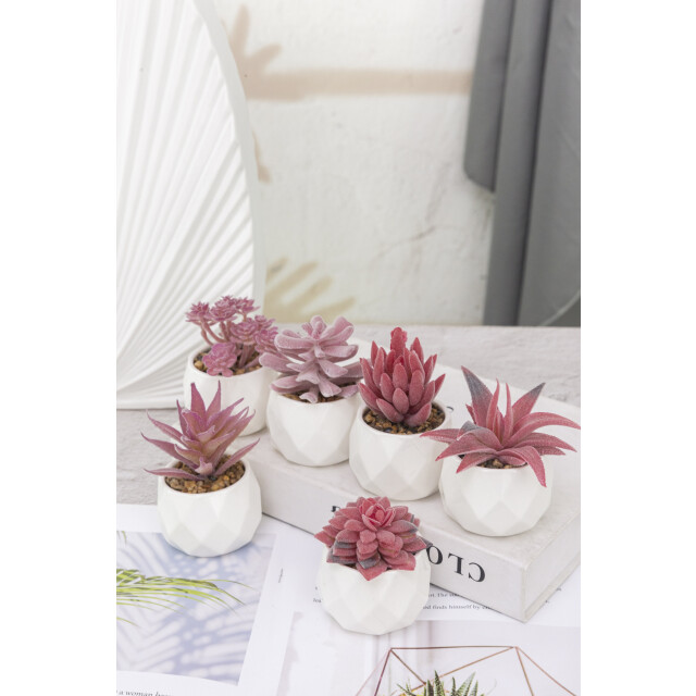 GreenDream ® kunstplantjes set 6 kunstplanten keramiek potje 6 stuks vetplanten 3047769 large