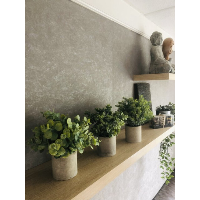 GreenDream ® kunstplanten kleine kunstplanten kamerplanten 3 stuks - 3047765 large