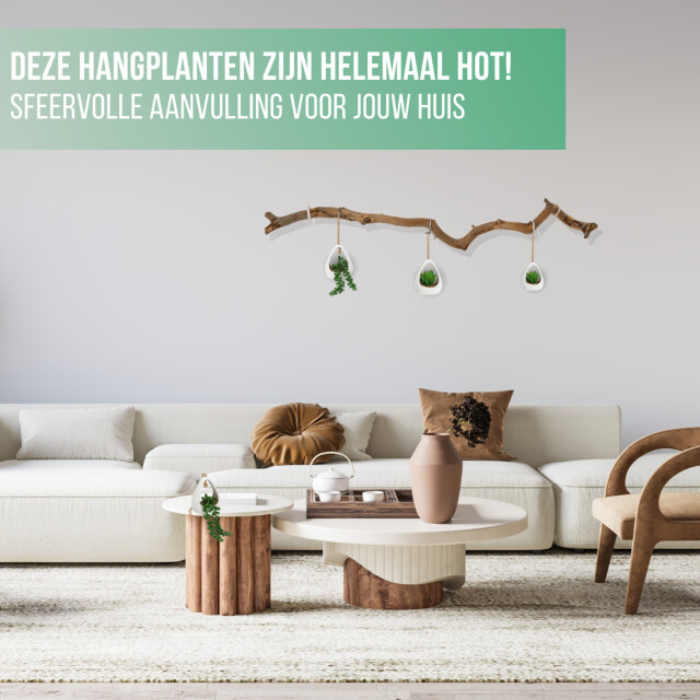 GreenDream ® kunstplanten 3 stuks hangplanten in hanger cadeautip 3047770 large