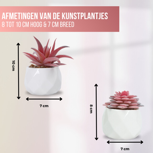 GreenDream ® kunstplantjes set 6 kunstplanten keramiek potje 6 stuks vetplanten 3047769 large