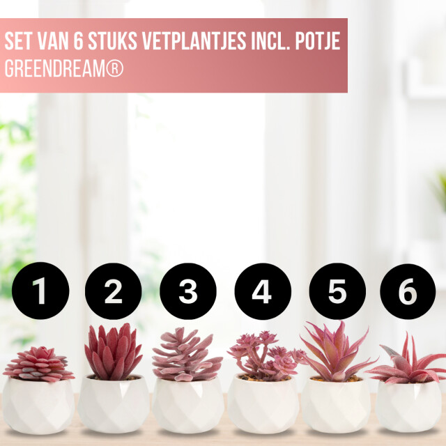 GreenDream ® kunstplantjes set 6 kunstplanten keramiek potje 6 stuks vetplanten 3047769 large