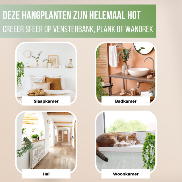 GreenDream ® 3 verschillende hangplanten kunstplanten in pot decoratief - 3047771 large