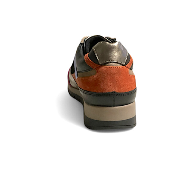 Helioform 281.005 281.005 large