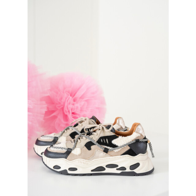 DWRS Label Saturnus j5554c J5554C Jupiter large