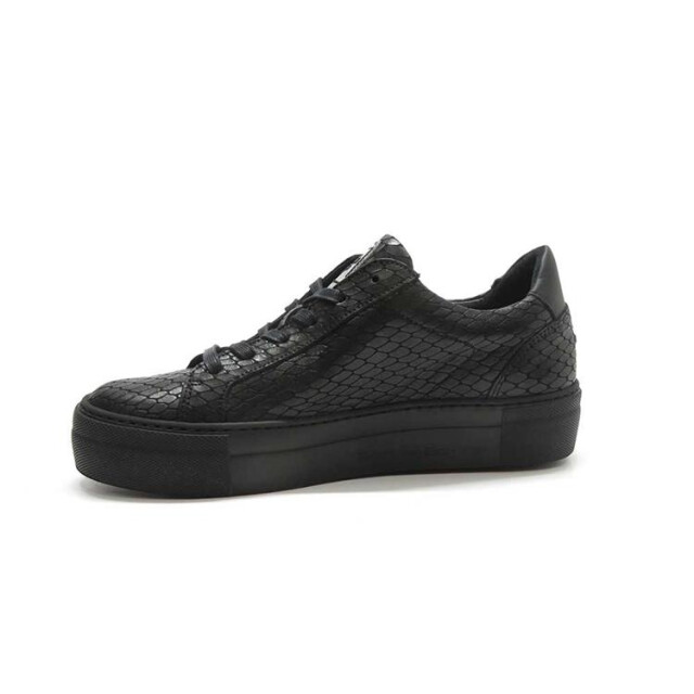 Floris van Bommel SFW-10059 Sneakers Zwart SFW-10059 large