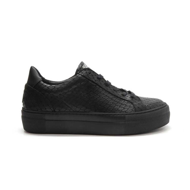 Floris van Bommel SFW-10059 Sneakers Zwart SFW-10059 large