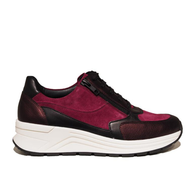 Solidus 46023 holly 023 46023 Holly large