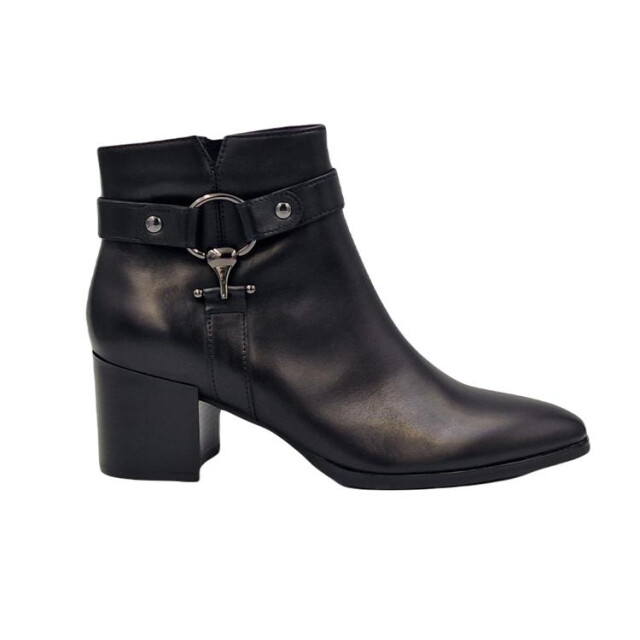 Regarde le Ciel Taylor-f24-35 TAYLOR-F24-35 large