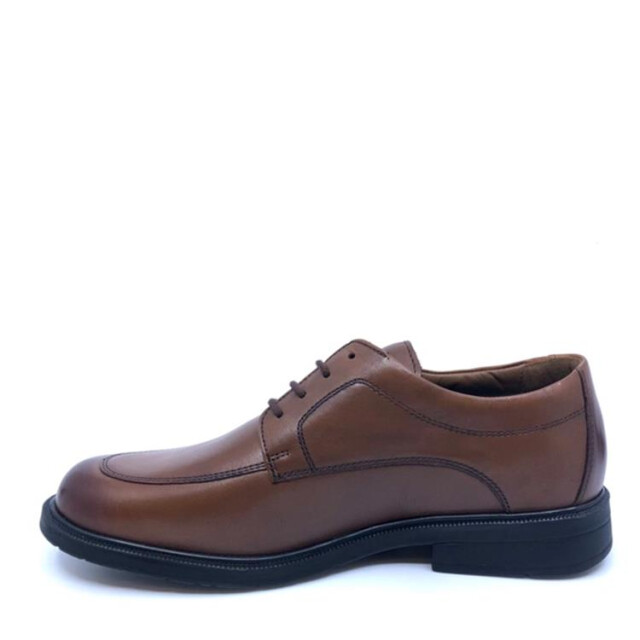 Solidus 81180 81180 Henk large