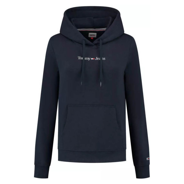 Tommy Hilfiger Reg serif linear hoodie DW0DW15649-C87-XL large