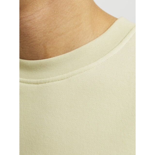 Jack & Jones jorvesterbro sweat crew neck noos 12241694 celadon tint 05735.369.0005 large