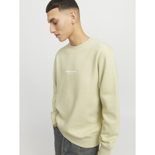 Jack & Jones jorvesterbro sweat crew neck noos 12241694 celadon tint 05735.369.0005 large