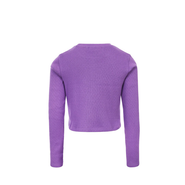 Looxs Revolution Longsleeve voor meisjes in de kleur 2501-5425-247 large