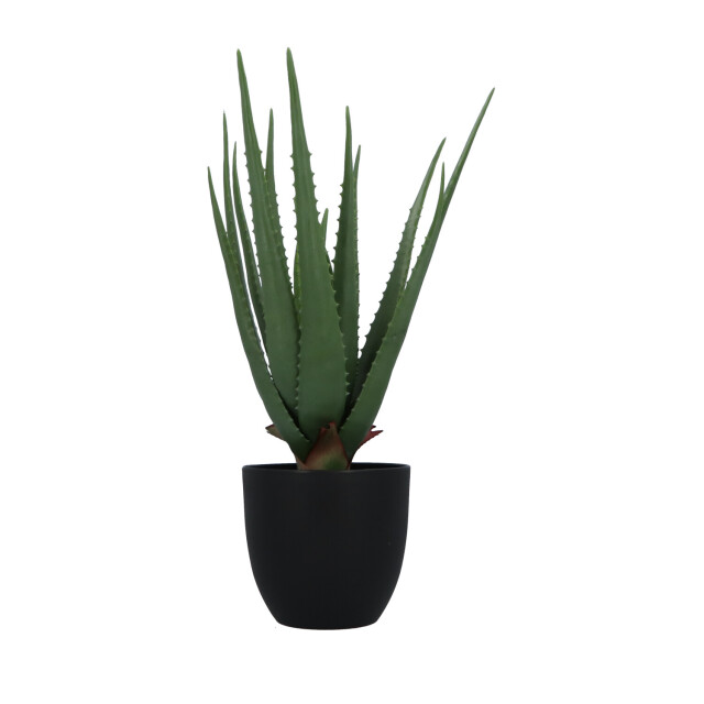 Kopu ® kunstplant aloe vera 55 cm in zwarte bloempot 17 bladeren 2612745 large