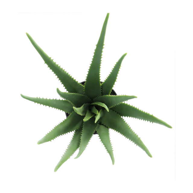 Kopu ® kunstplant aloe vera 55 cm in zwarte bloempot 17 bladeren 2612745 large