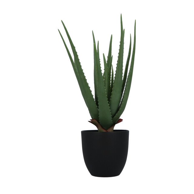 Kopu ® kunstplant aloe vera 55 cm in zwarte bloempot 17 bladeren 2612745 large