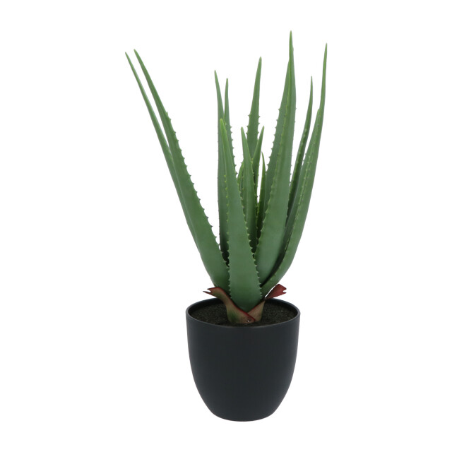 Kopu ® kunstplant aloe vera 55 cm in zwarte bloempot 17 bladeren 2612745 large