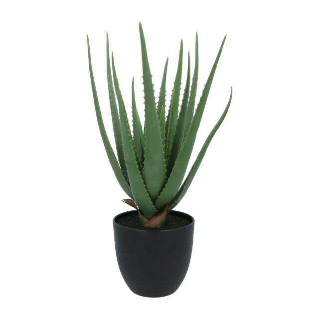 Kopu ® kunstplant aloe vera 55 cm in zwarte bloempot 17 bladeren 2612745 large