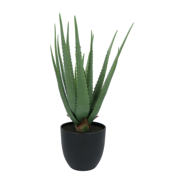 Kopu ® kunstplant aloe vera 55 cm in zwarte bloempot 17 bladeren 2612745 large