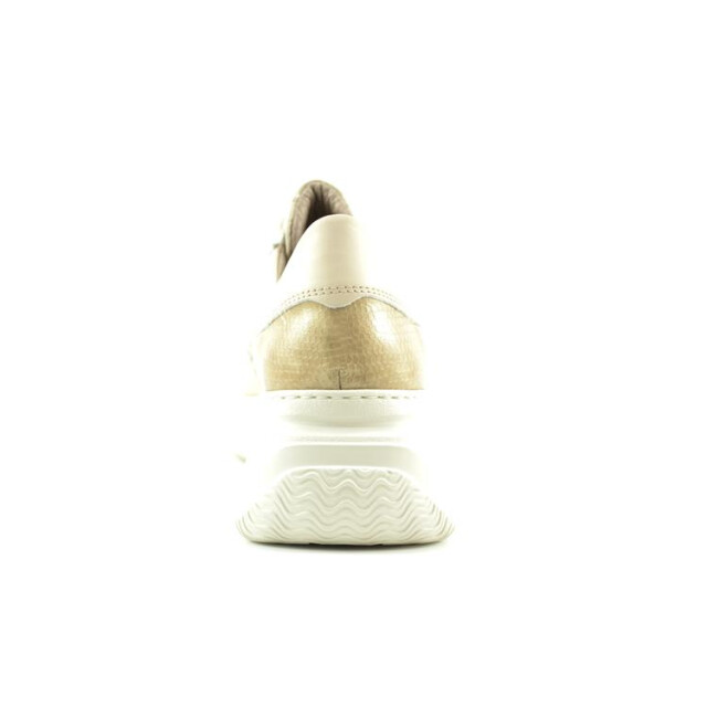 DL Sport 6349 6349 large
