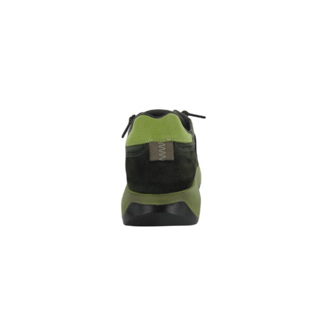 Cetti C1311 C1311 large