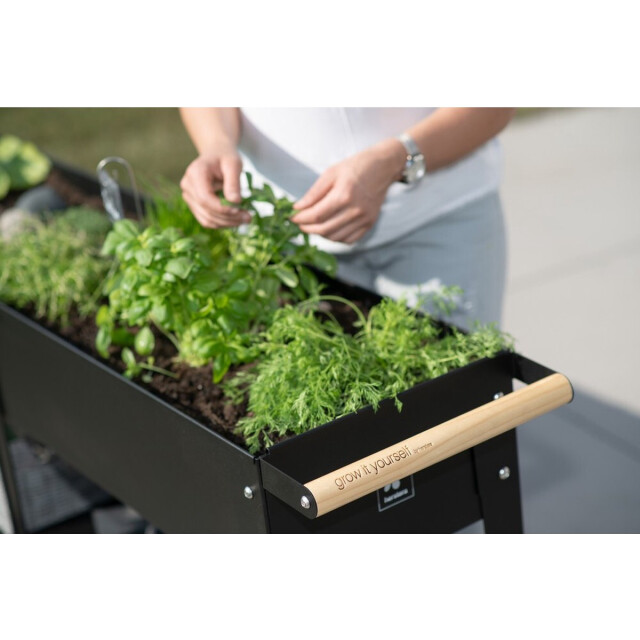 Herstera Garden Verrijdbare plantenbak hg08937501- moestuin 150x35x80 cm 3047604 large