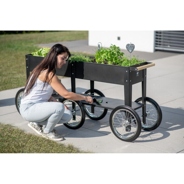 Herstera Garden Verrijdbare plantenbak hg08937501- moestuin 150x35x80 cm 3047604 large