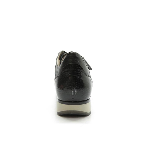 DL Sport 6325 6325 large