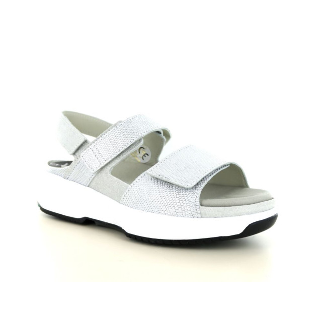 Xsensible 290.96.102 Sandalen Zilver 290.96.102 large