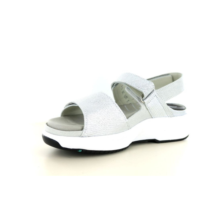 Xsensible 290.96.102 Sandalen Zilver 290.96.102 large