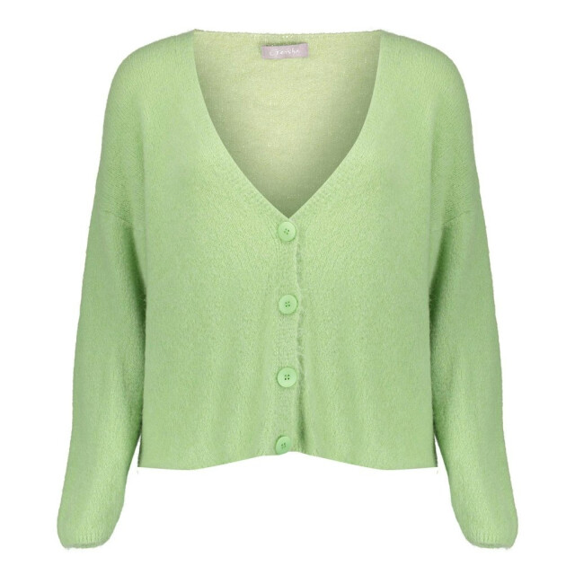 Geisha 44881-70 cardigan cosy 44881-70 large