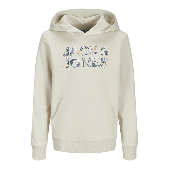 Jack & Jones Jjebryan corp logo sweat hood noos 12268859 large