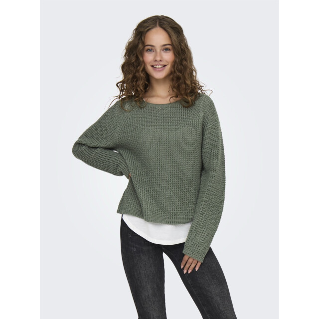 Jacqueline de Yong Jdyellen ls oneck raglan pullover oud 4219.23.0014 large