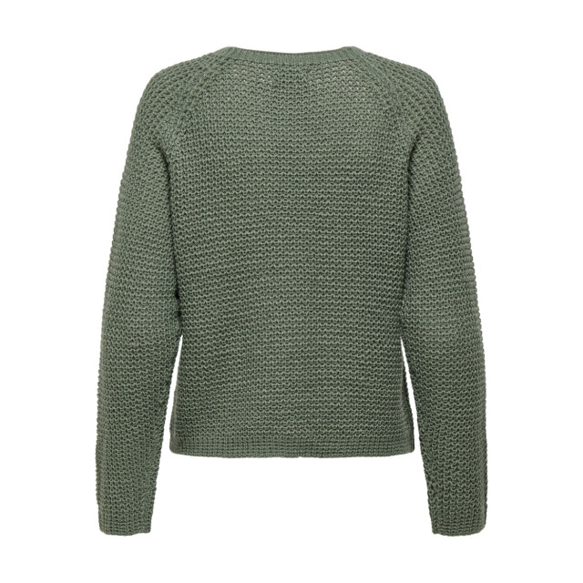 Jacqueline de Yong Jdyellen ls oneck raglan pullover oud 4219.23.0014 large